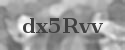 Visuelles Captcha